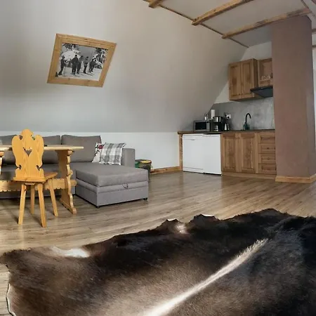 Apartamenty u Gąsieniców Zakopane-2